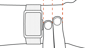 Wear the Sensor Bio Band two fingers above your wrist bone for best data quality