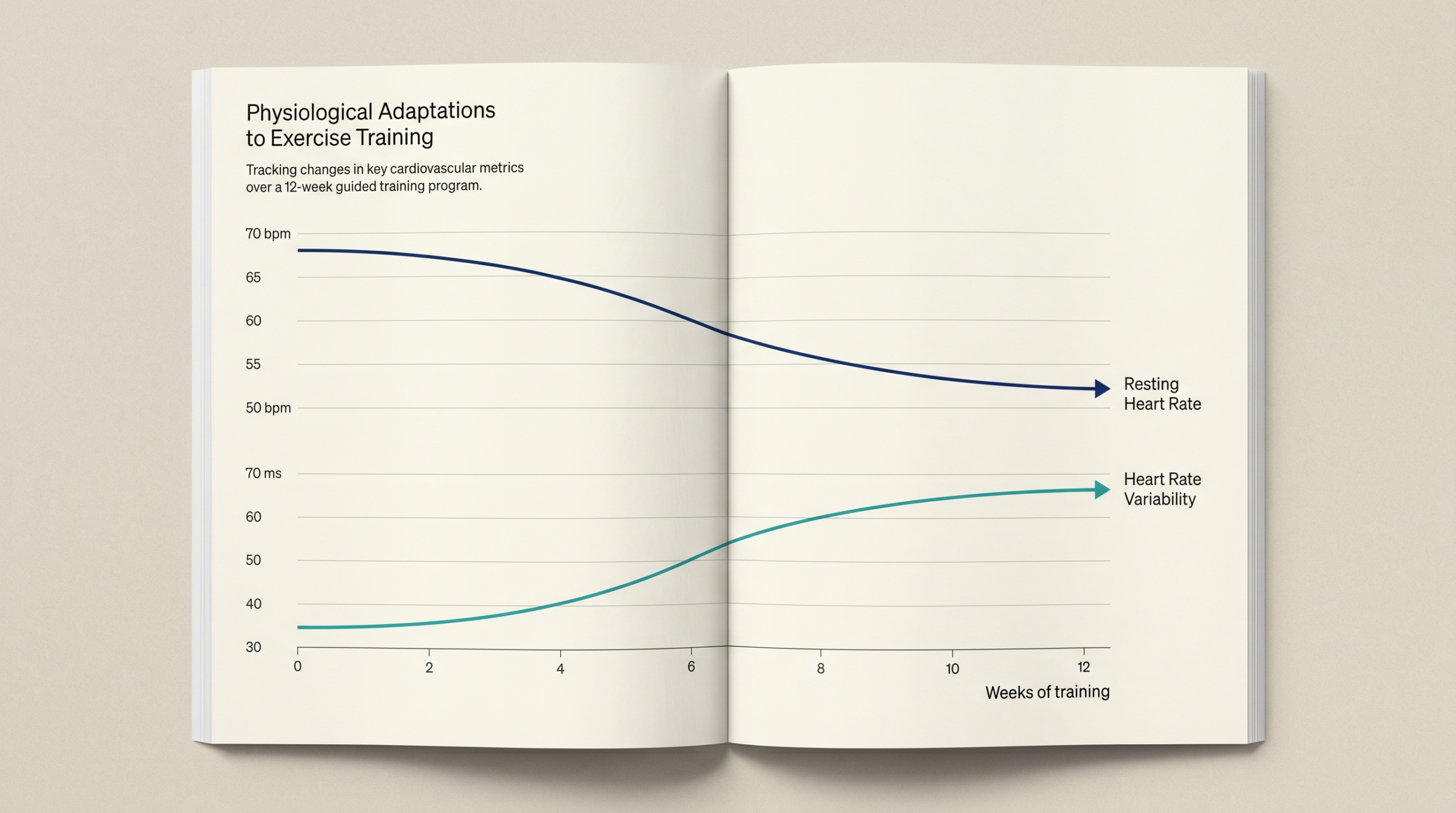 Training adaptation curves showing RHR decreasing and HRV increasing over 12 weeks of endurance training